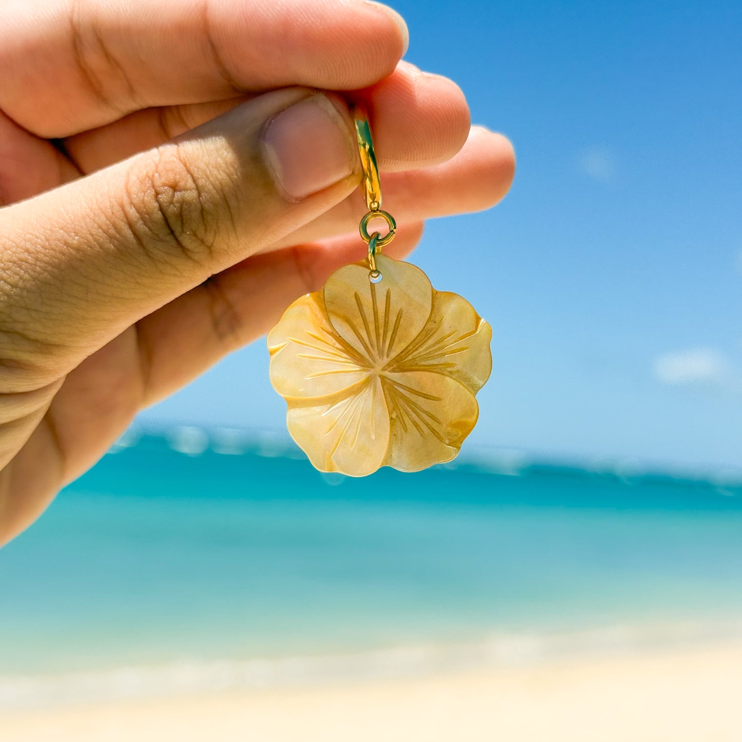 Hibiscus Bikini Charm